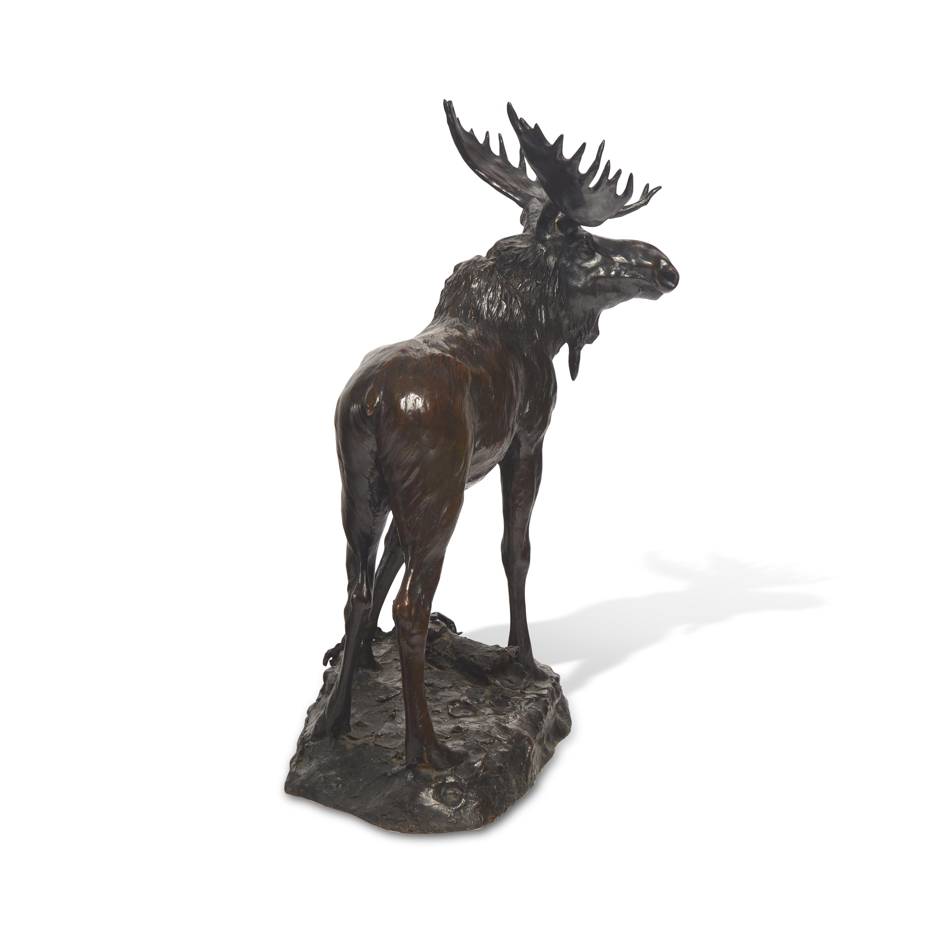 Henry M. Shrady (American, 1871-1922) — Bull Moose , 1900