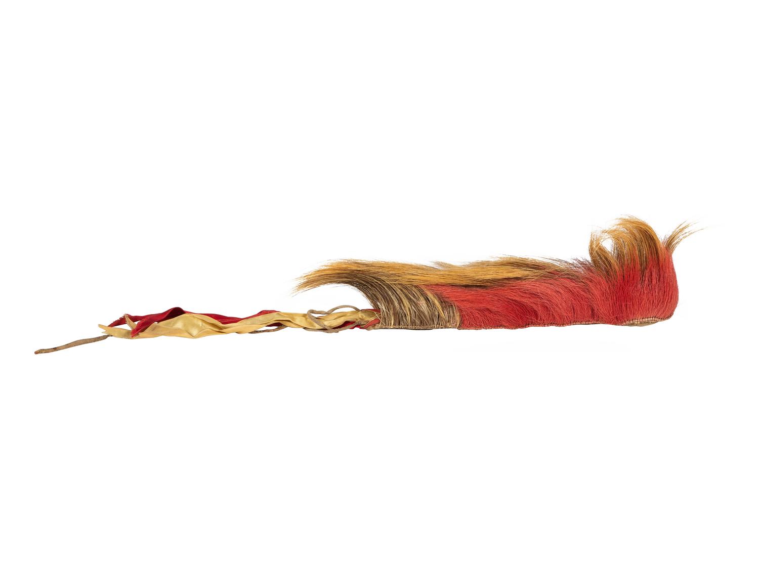 Plains Hair Roach