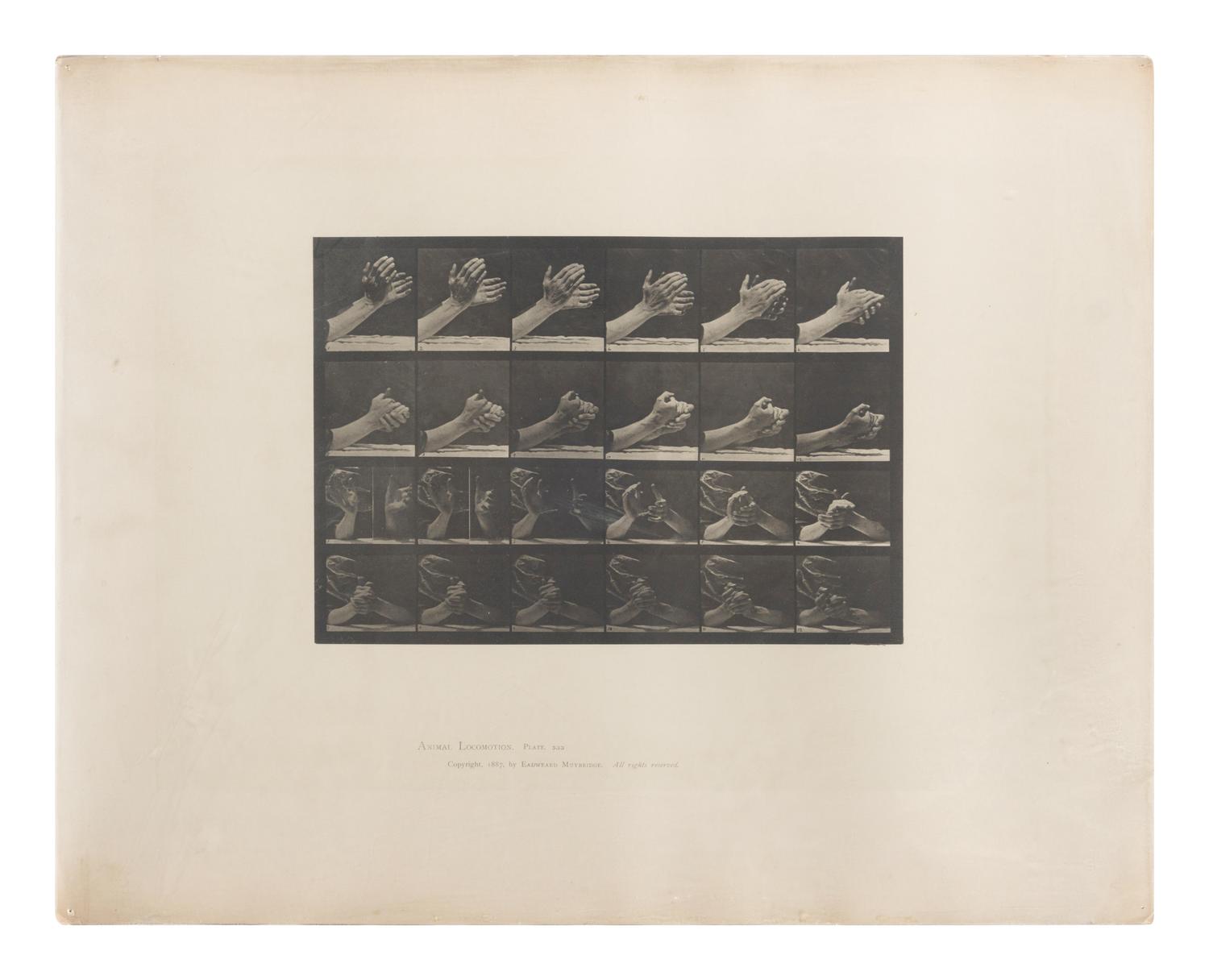15 Plates from Animal Locomotion , 1887