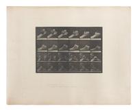 15 Plates from Animal Locomotion , 1887