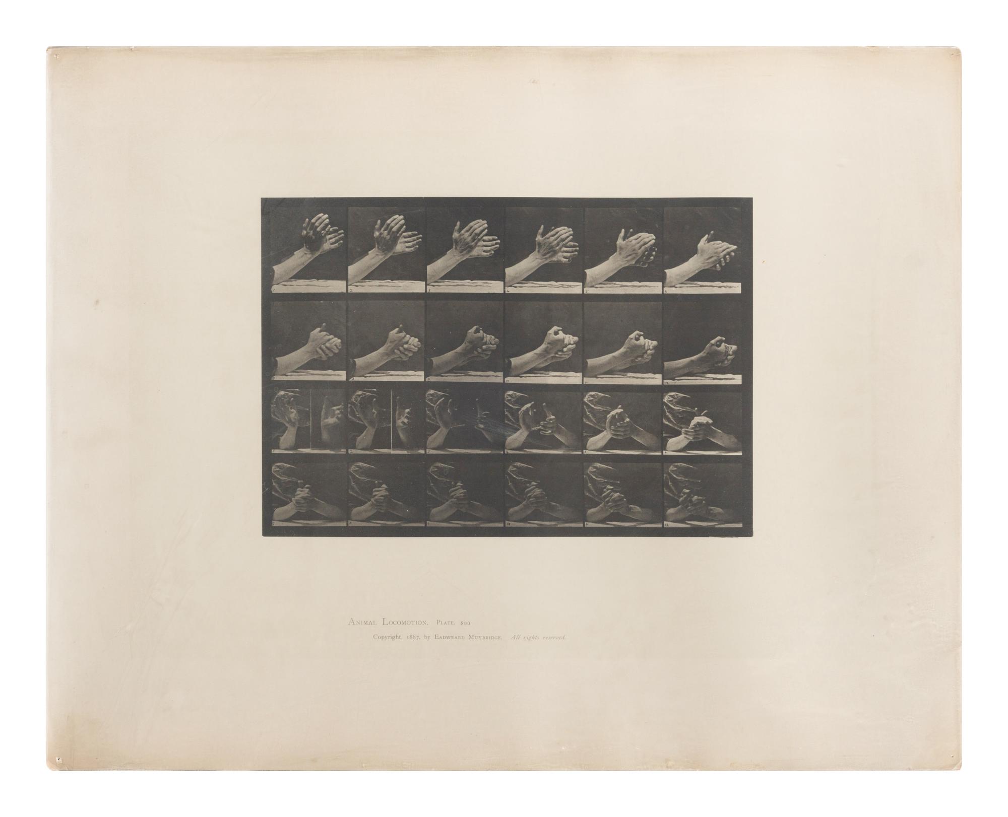 15 Plates from Animal Locomotion , 1887