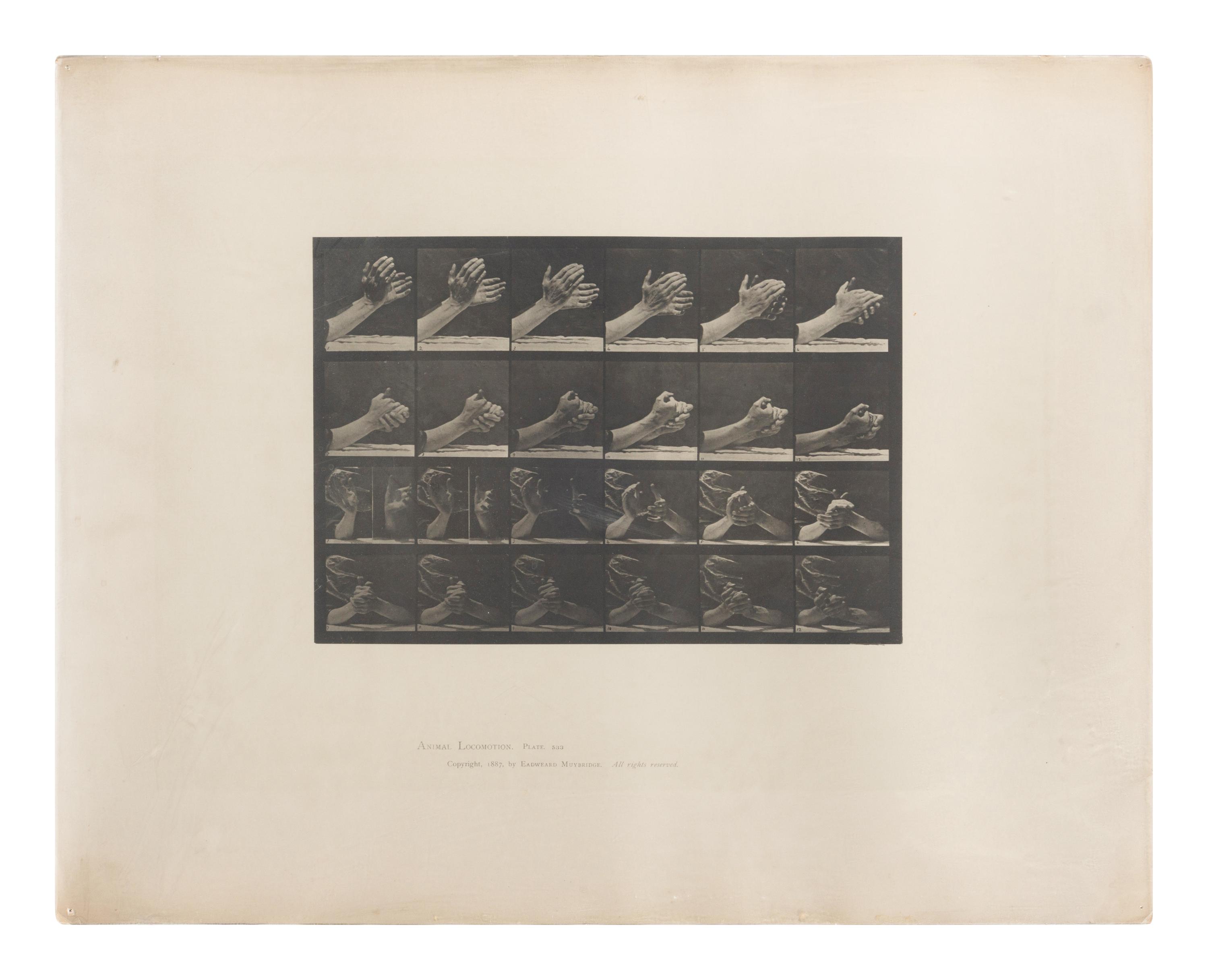 15 Plates from Animal Locomotion , 1887