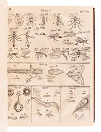 FRISCH, Johann Leonhard (1666-1743). Beschreibung von allerley Insecten in Teutsch-Land . Berlin: Christoph Gottleib, 1721-1738.