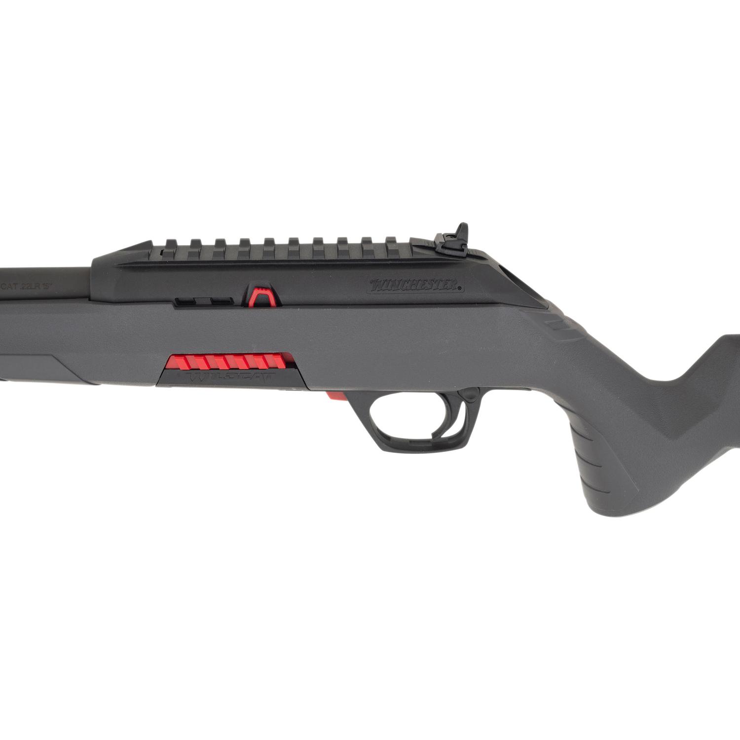 *Winchester Wildcat in Box