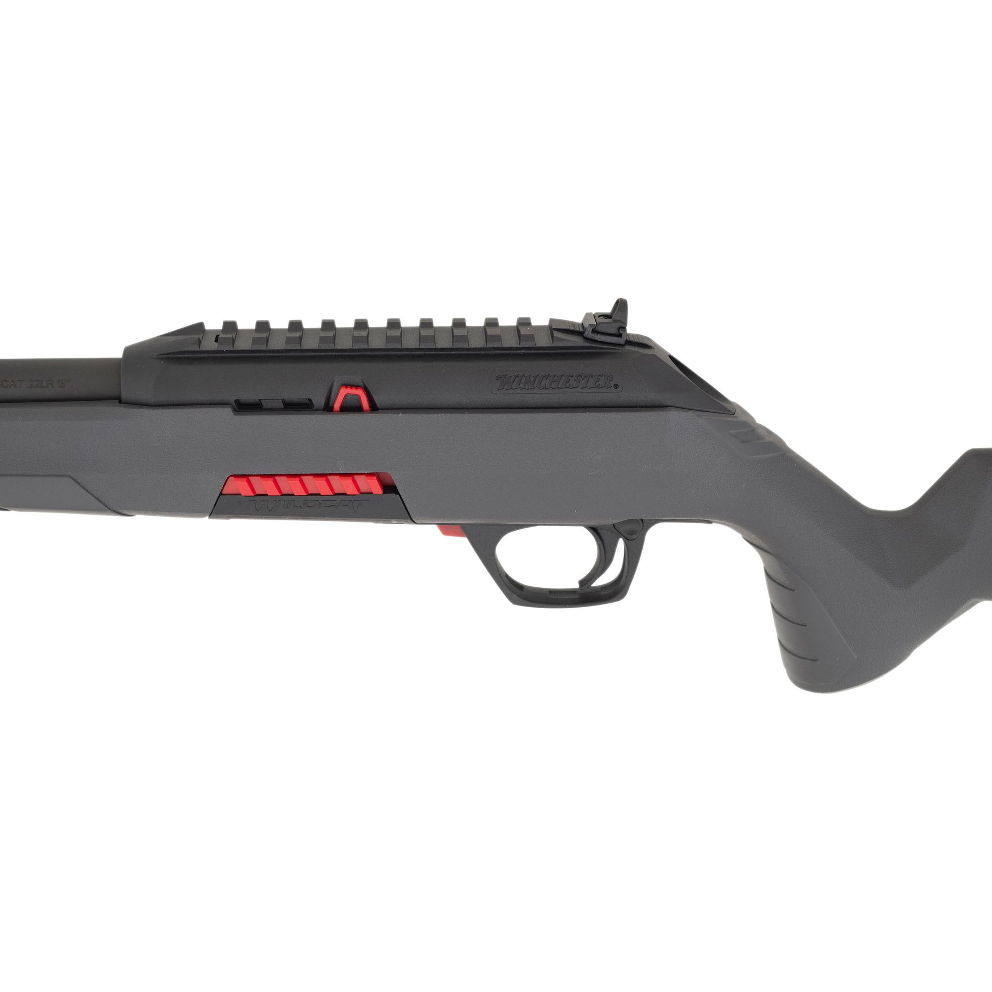 *Winchester Wildcat in Box