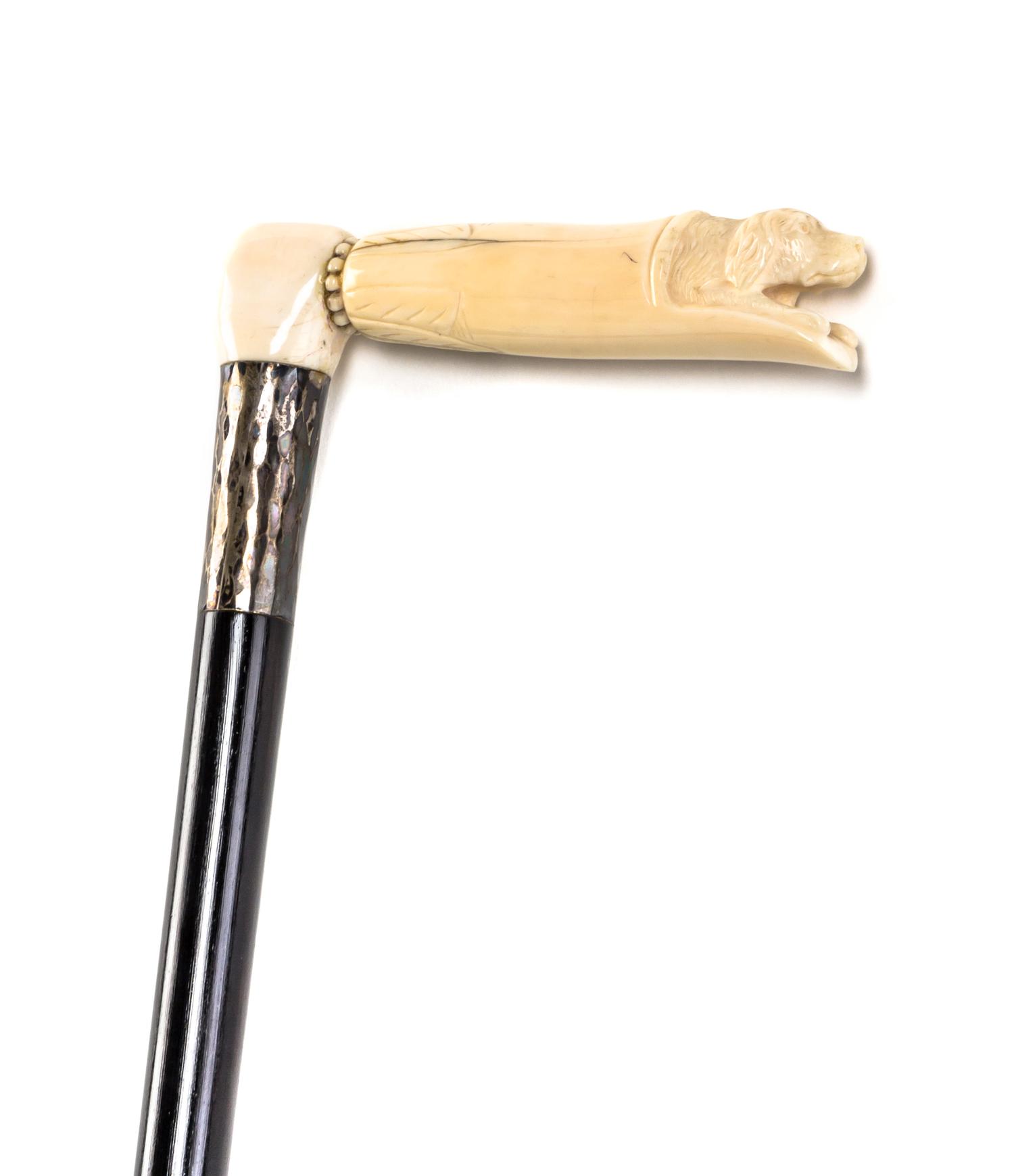 An American Walrus Ivory Handled Cane, Length of handle 5 1/4 x length overall 35 5/8 inches.
