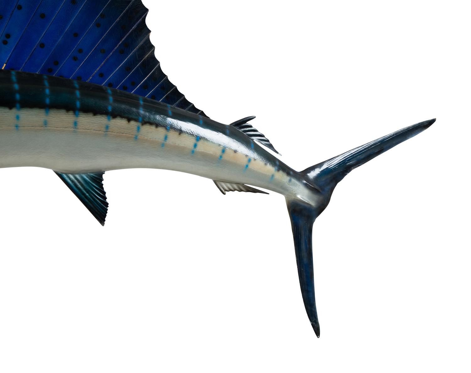 A Faux Taxidermy Sailfish — 21ST CENTURY