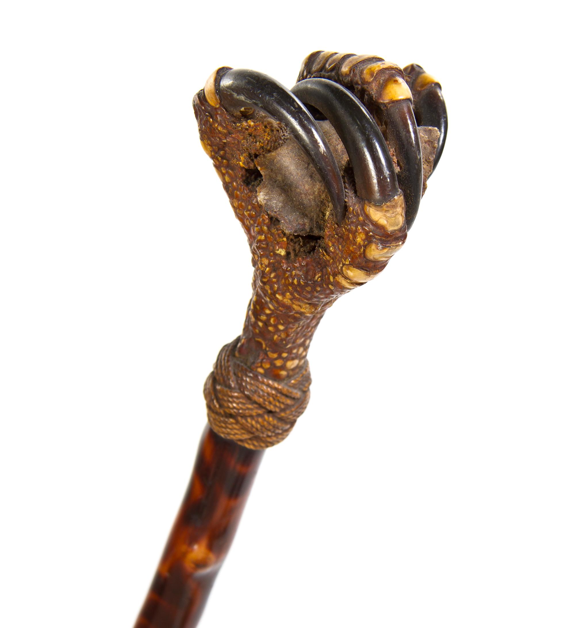 A Bird Talon and Exotic Wood Walking Stick, Height overall 35 x height of handle 2 7/8 inches.