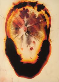 The Flowering (The Fourfold Sense), 2007 (complete portfolio of thirteen)
