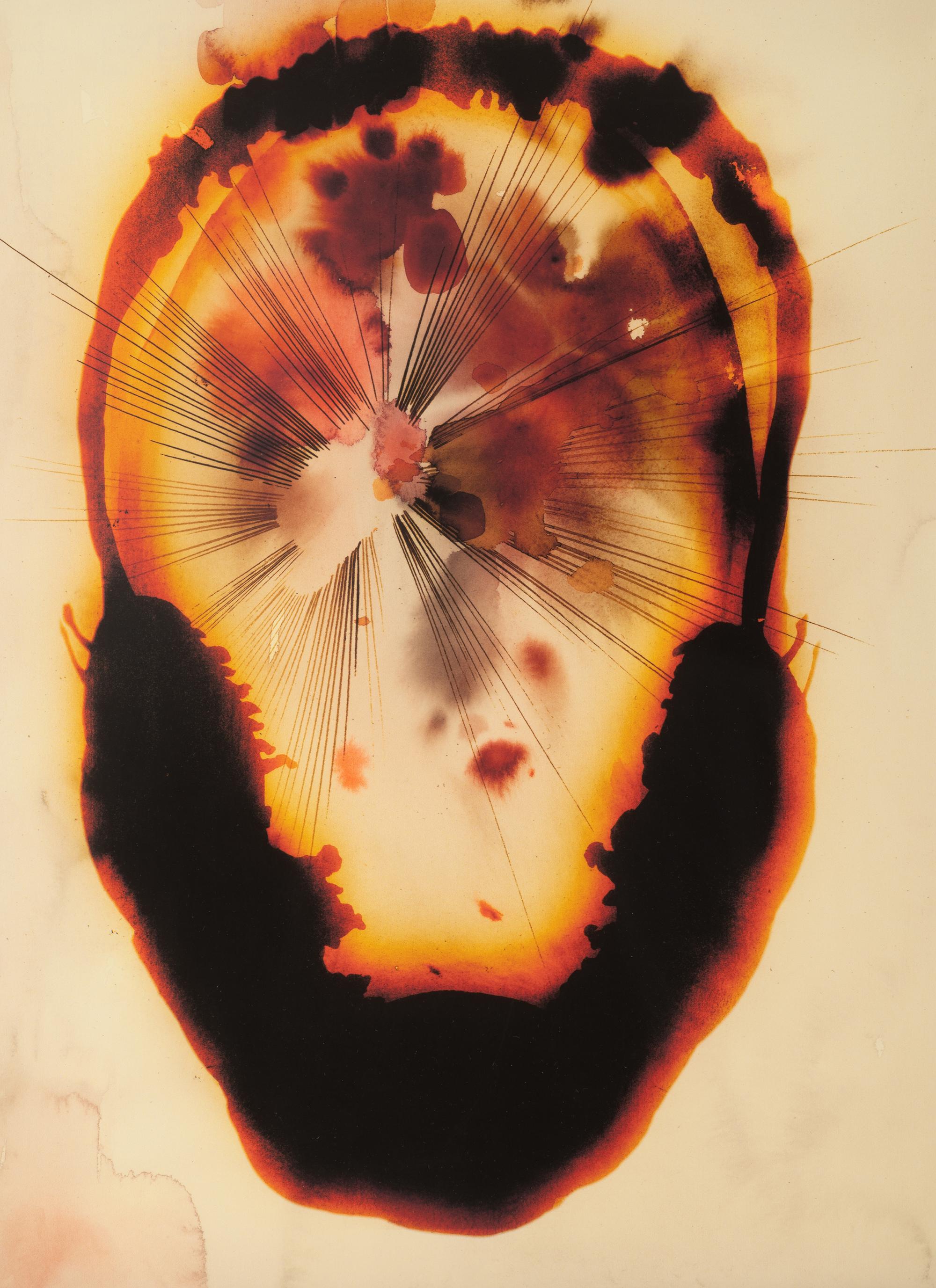 The Flowering (The Fourfold Sense), 2007 (complete portfolio of thirteen)