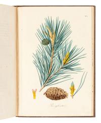 GIHOUL, Louis (1831-1854). Culture forestière des arbres résineux conifères . Brussels: Librairie de Deprez-Parent, 1847.
