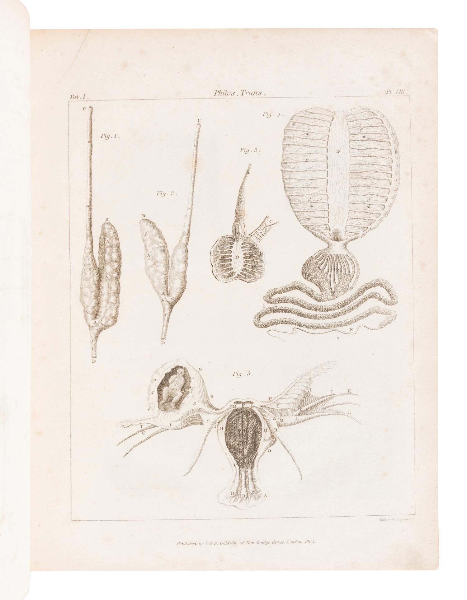 ROYAL SOCIETY OF LONDON. The Philosophical Transactions of the Royal Society of London, From their Commencement, in 1665, to the Year 1800; Abridged, with Notes and Biographic Illustrations. London: C. and R. Baldwin, 1809.