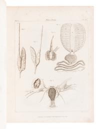 ROYAL SOCIETY OF LONDON. The Philosophical Transactions of the Royal Society of London, From their Commencement, in 1665, to the Year 1800; Abridged, with Notes and Biographic Illustrations. London: C. and R. Baldwin, 1809.