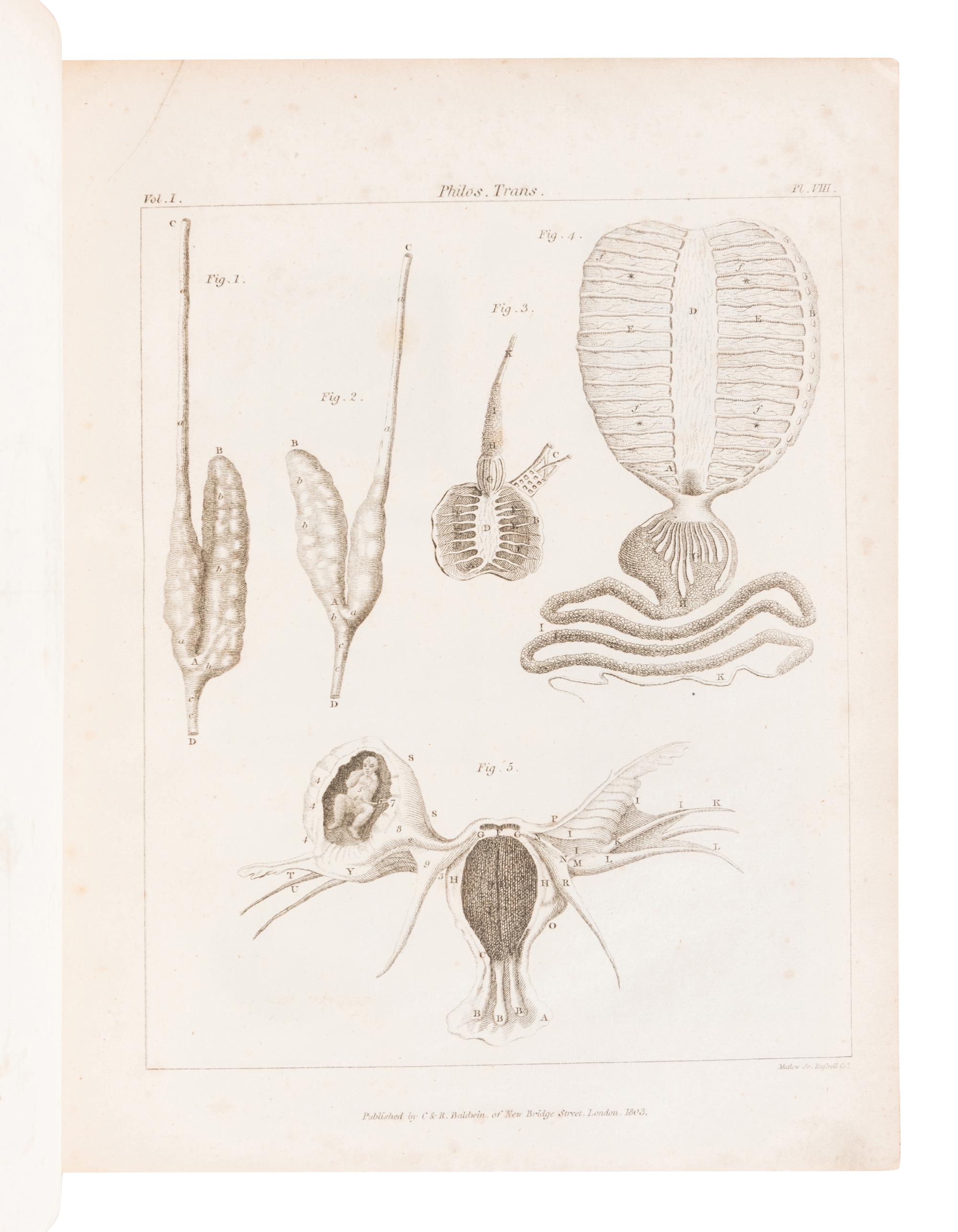 ROYAL SOCIETY OF LONDON. The Philosophical Transactions of the Royal Society of London, From their Commencement, in 1665, to the Year 1800; Abridged, with Notes and Biographic Illustrations. London: C. and R. Baldwin, 1809.