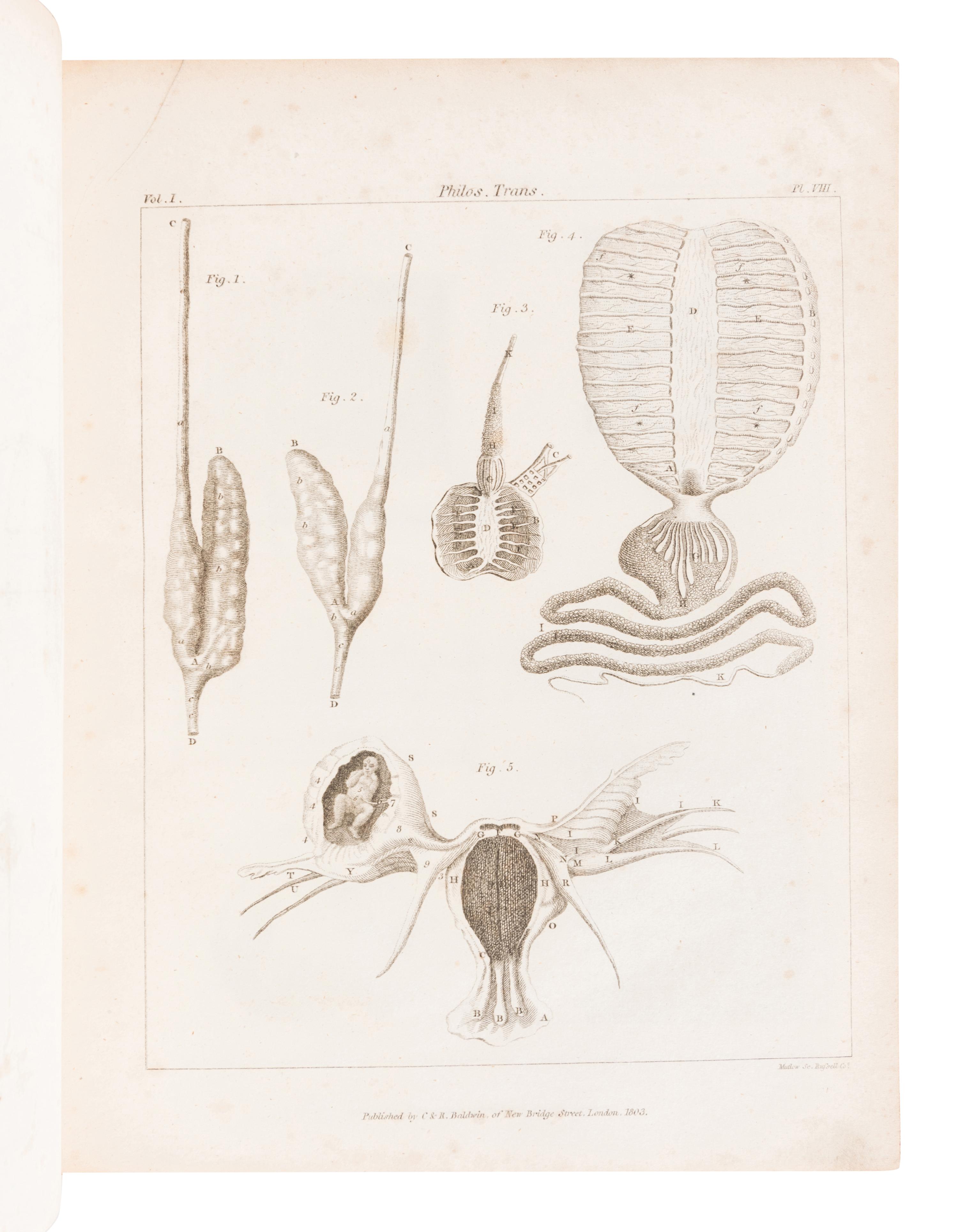ROYAL SOCIETY OF LONDON. The Philosophical Transactions of the Royal Society of London, From their Commencement, in 1665, to the Year 1800; Abridged, with Notes and Biographic Illustrations. London: C. and R. Baldwin, 1809.