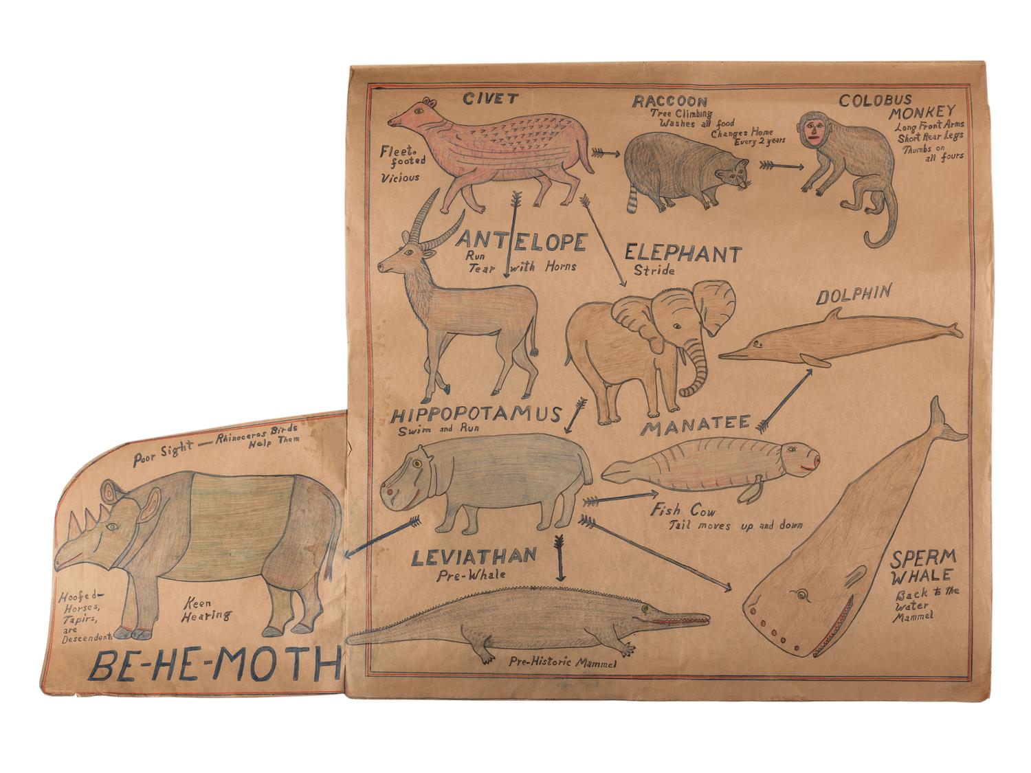 A Bound Set of Folk Art Scientific Drawings