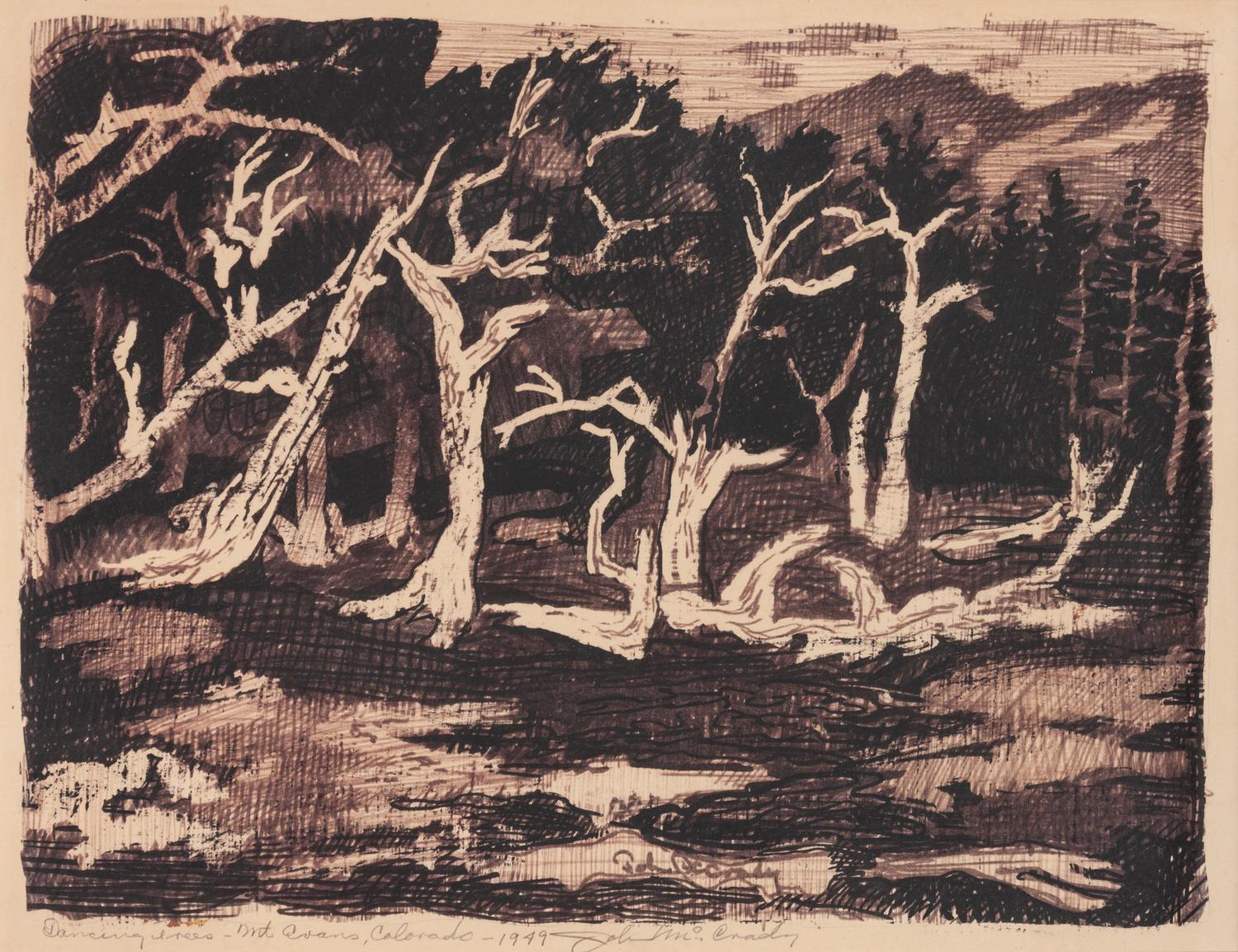 Dancing Trees- Mt Evans, Colorado , 1949