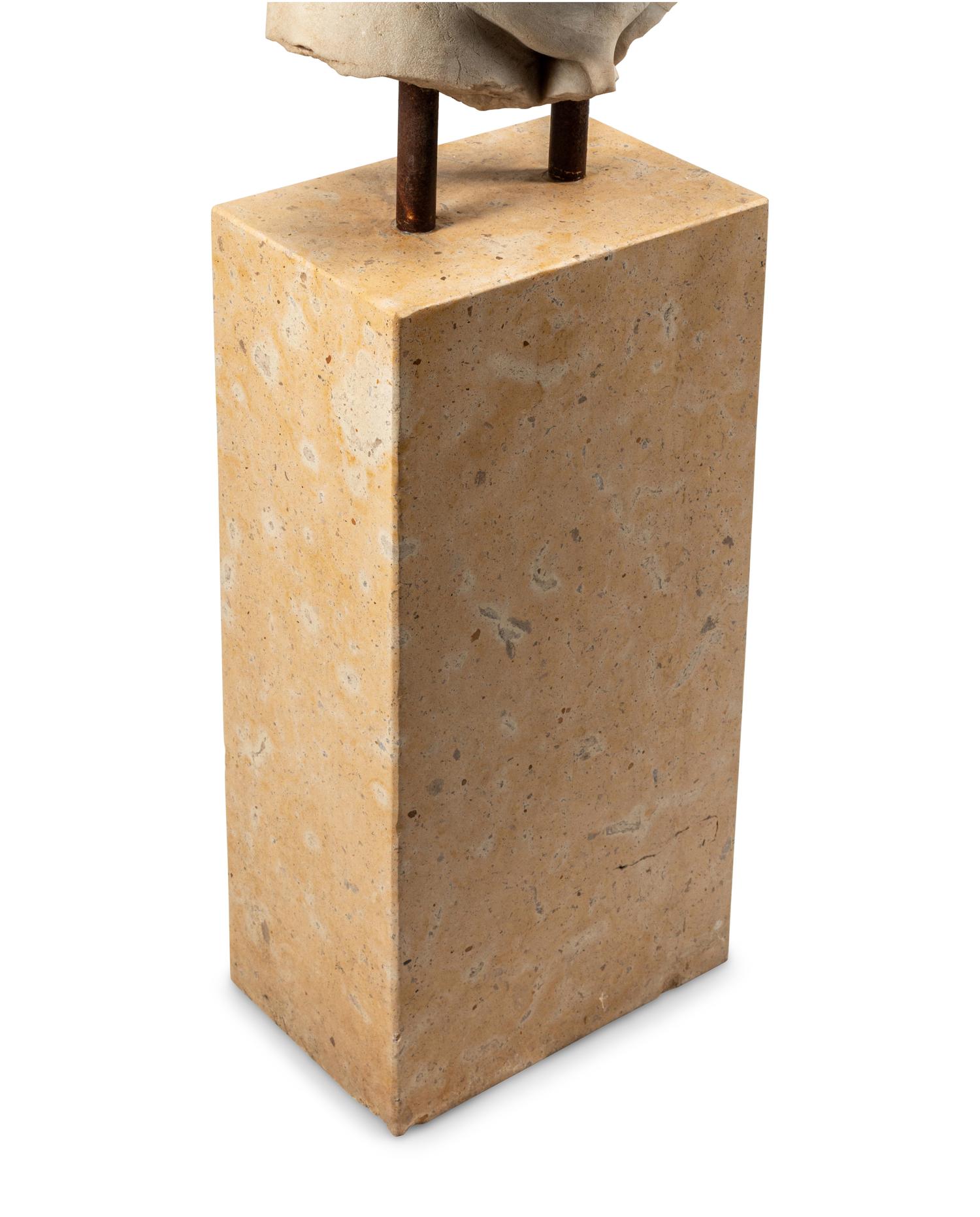 An Italian Marble Torso