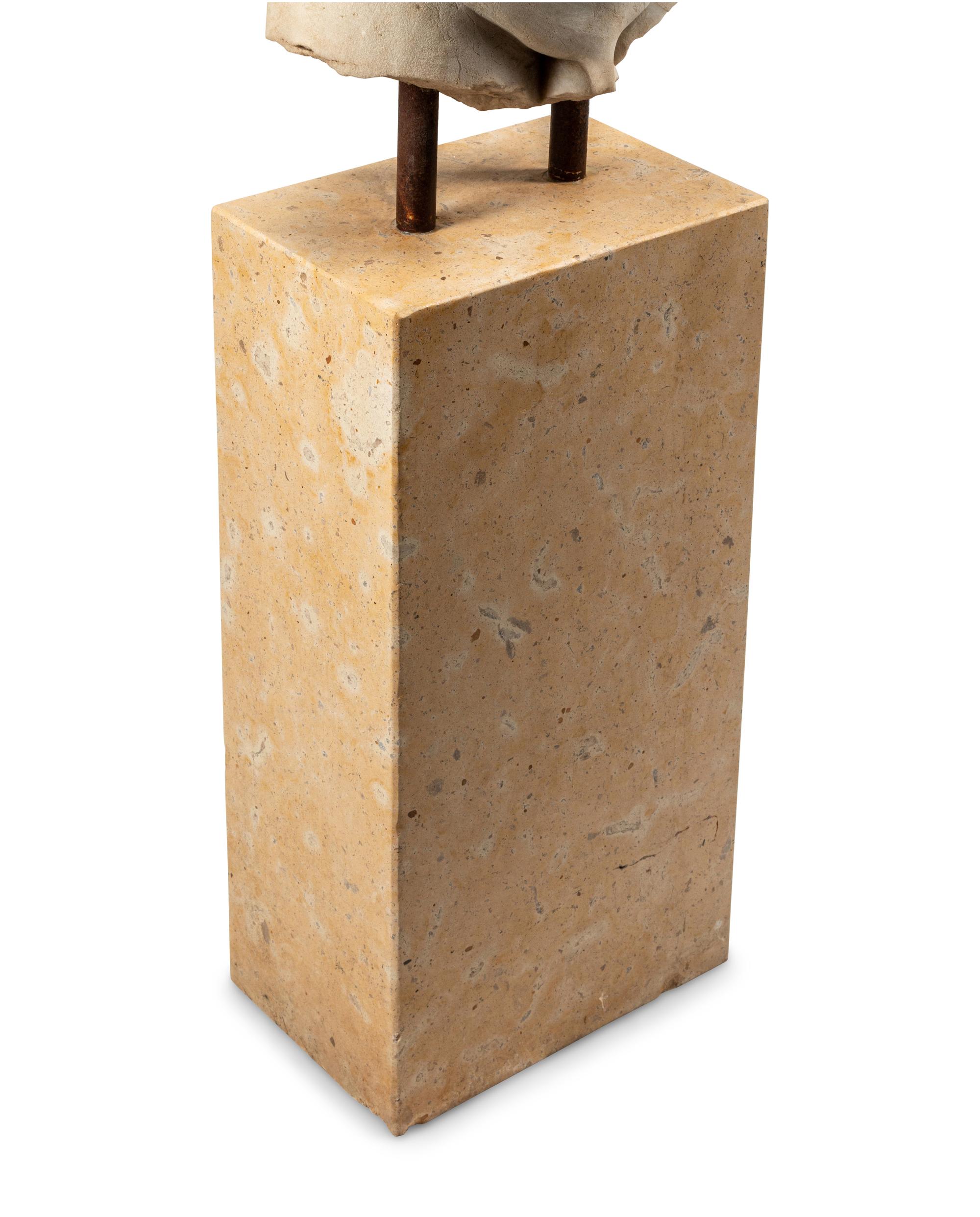 An Italian Marble Torso