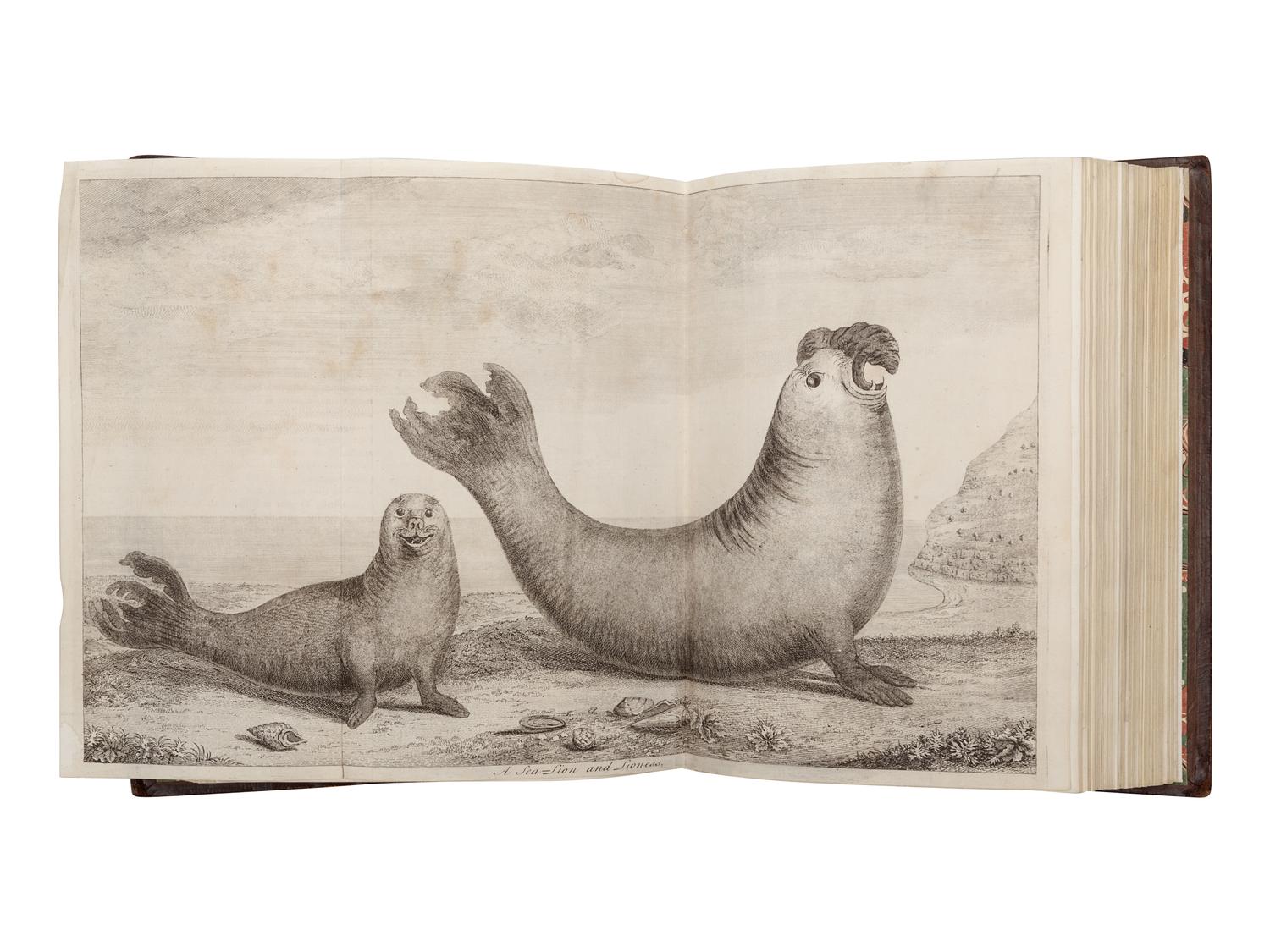 [TRAVEL & EXPLORATION]. ANSON, George (1697-1762). A Voyage round the World, In the Years 1740... 1744 . London: John and Paul Knapton for the author, 1748.