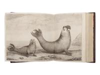 [TRAVEL & EXPLORATION]. ANSON, George (1697-1762). A Voyage round the World, In the Years 1740... 1744 . London: John and Paul Knapton for the author, 1748.