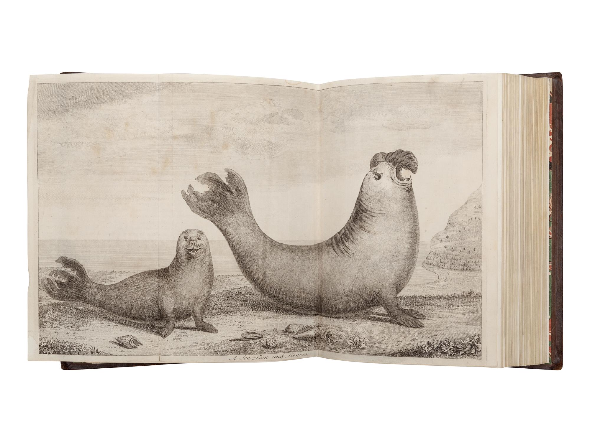 [TRAVEL & EXPLORATION]. ANSON, George (1697-1762). A Voyage round the World, In the Years 1740... 1744 . London: John and Paul Knapton for the author, 1748.