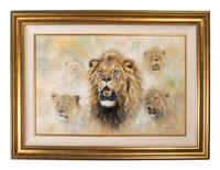 Lion Study