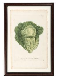 Nine Vegetable Aquatints