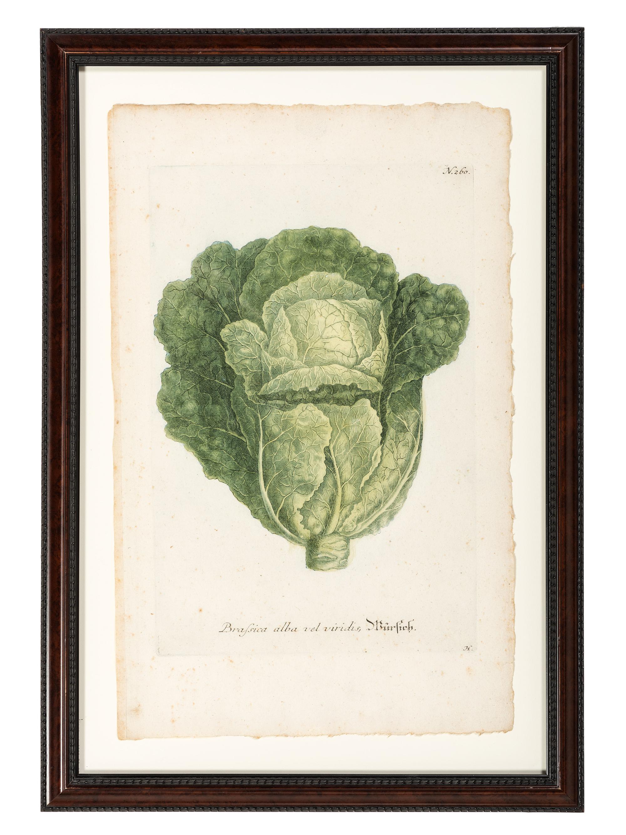 Nine Vegetable Aquatints