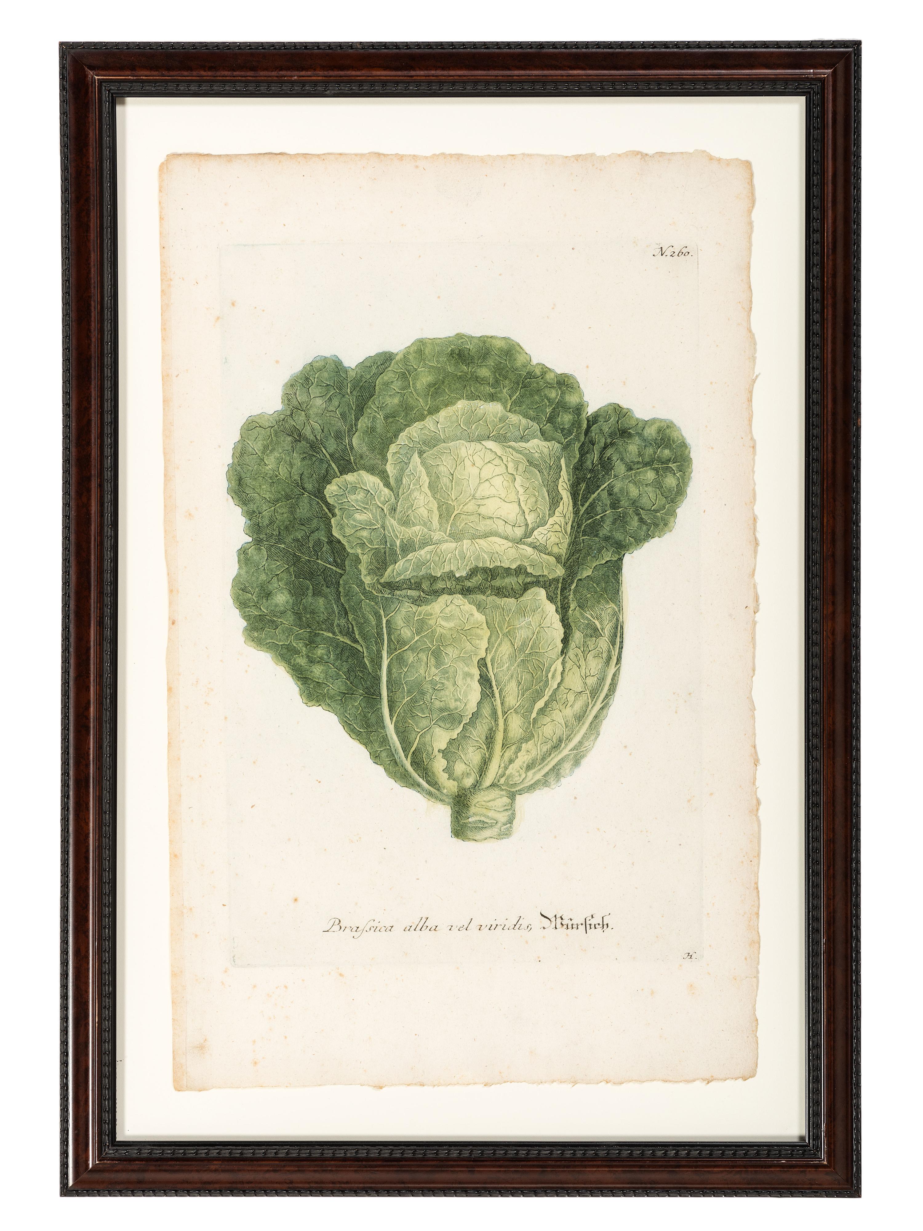 Nine Vegetable Aquatints