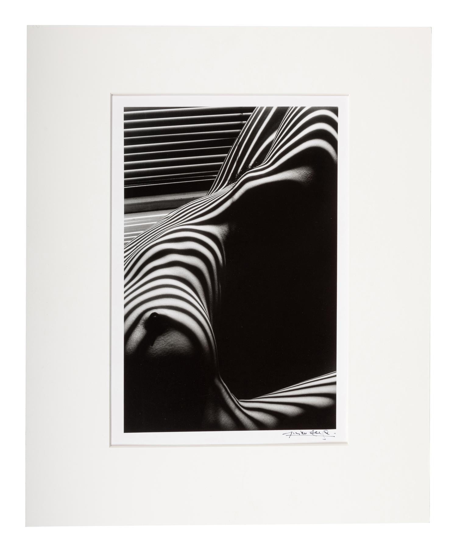 Lucien Clergue (1934-2014) Nu Zèbre, New York, 1997