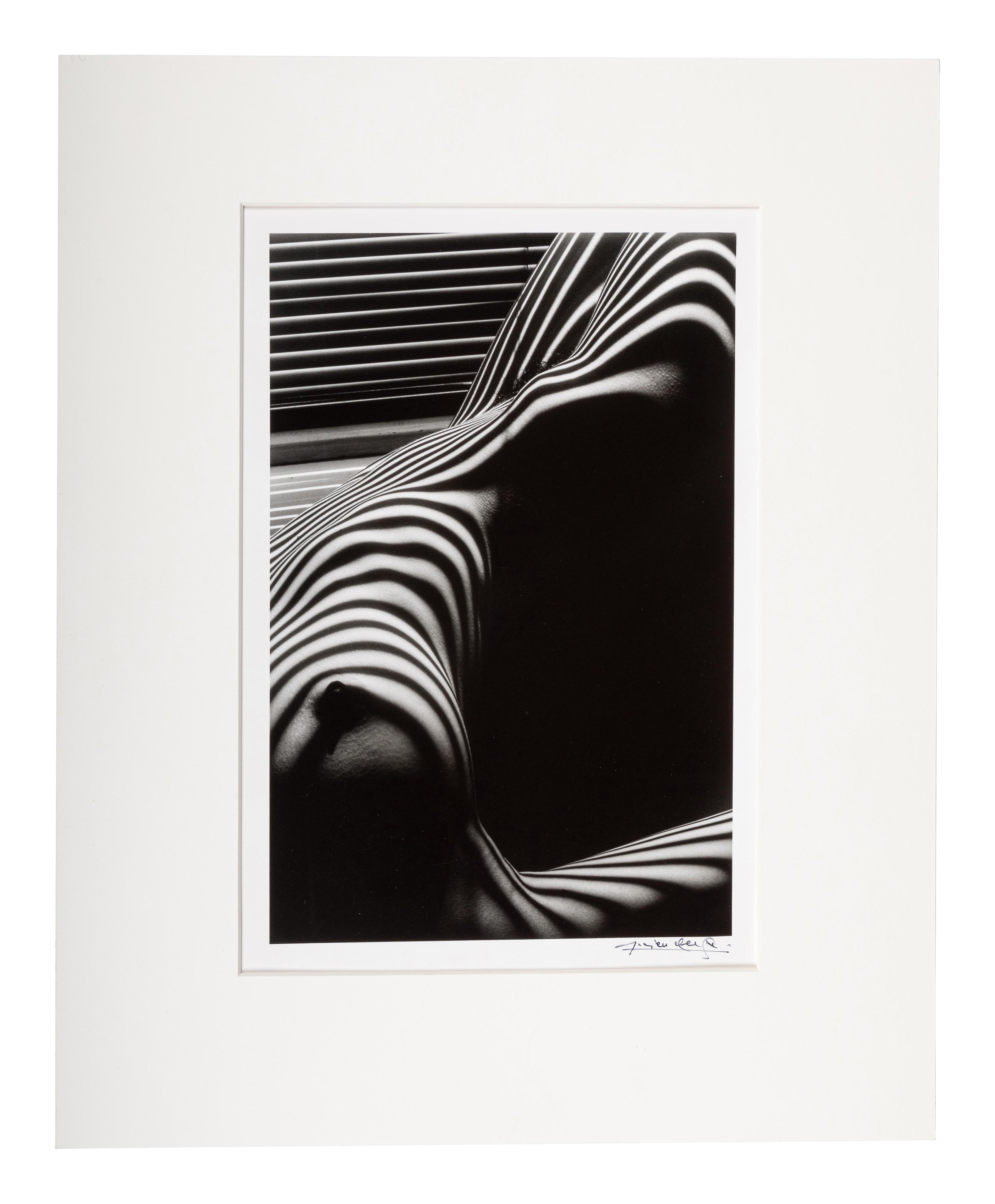 Lucien Clergue (1934-2014) Nu Zèbre, New York, 1997