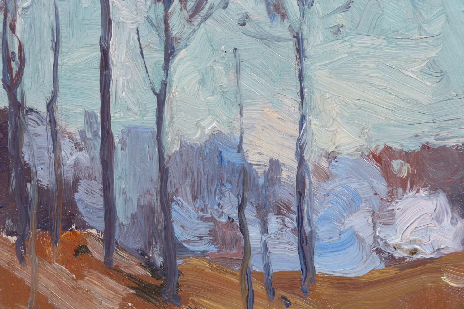 Burned Trees, Ogunquit, Maine