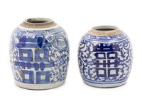 Two Chinese Blue and White Porcelain Ginger Jars