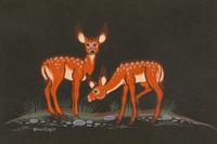 Twin Fawns