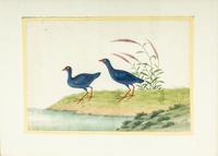A Pair of Chinese Export Pith Paintings Mounted as Side Tables