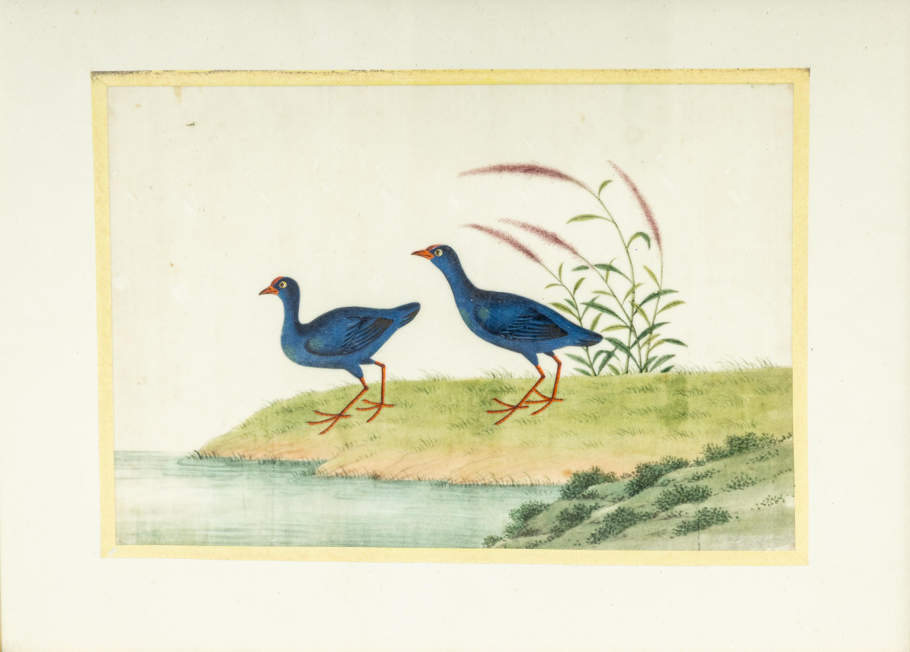 A Pair of Chinese Export Pith Paintings Mounted as Side Tables