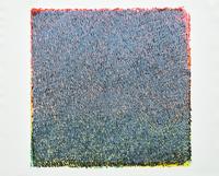 Bark and Marks , 1988