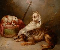 George Armfield (British, 1808-1893)