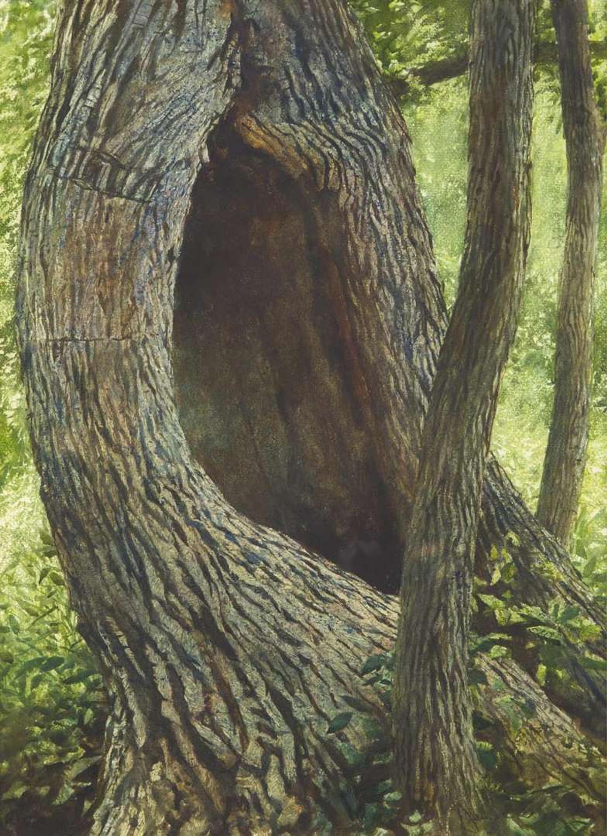 Jamie Wyeth (American, B. 1946) - Armour