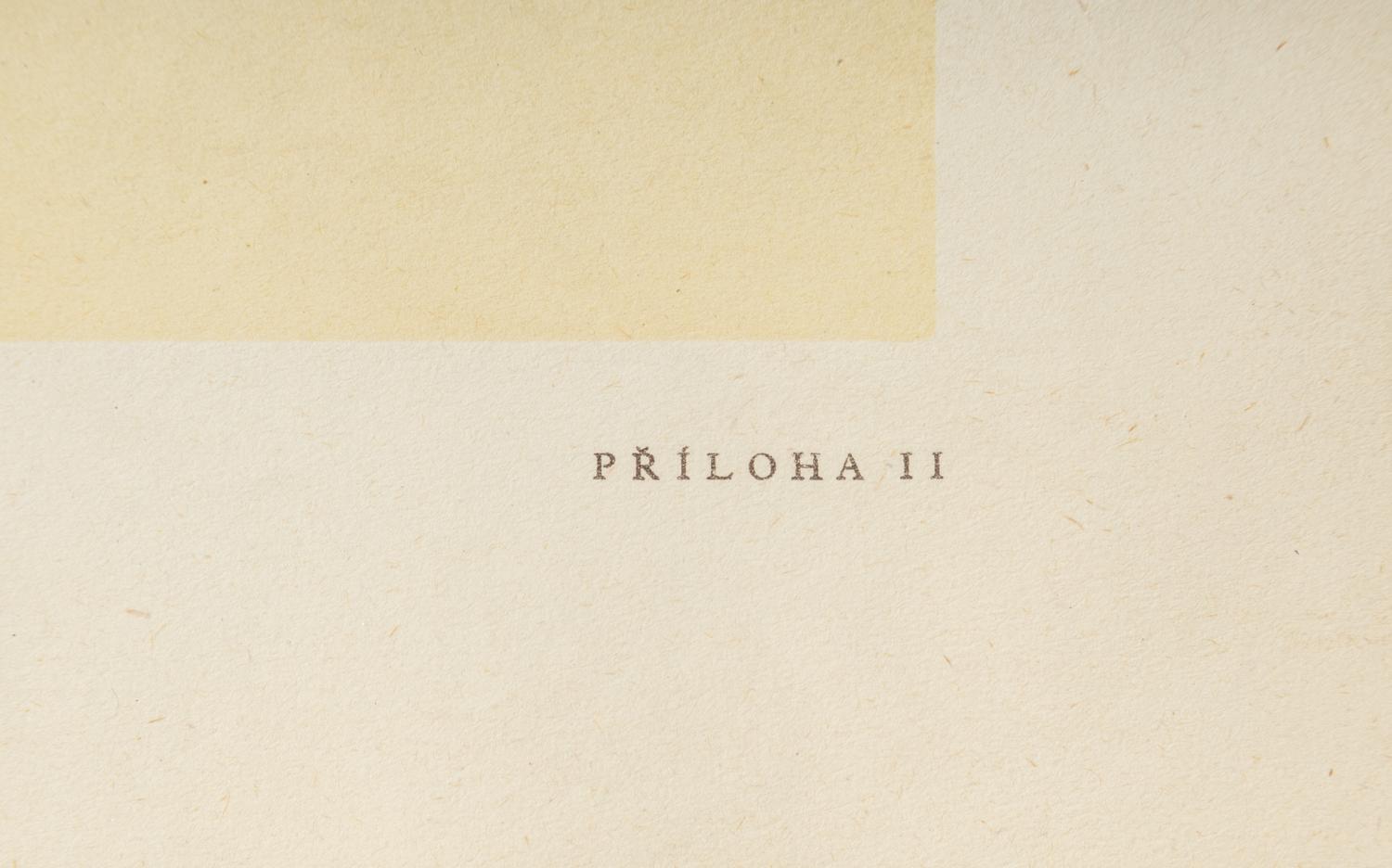Thirteen Hand Colored Prints Pertaining to Ancient Glass