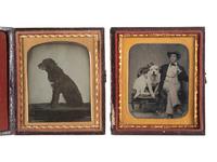 [EARLY PHOTOGRAPHY]. Pair of ambrotypes of dogs, incl. portrait of a young man posed with his arm around his ample canine companion.