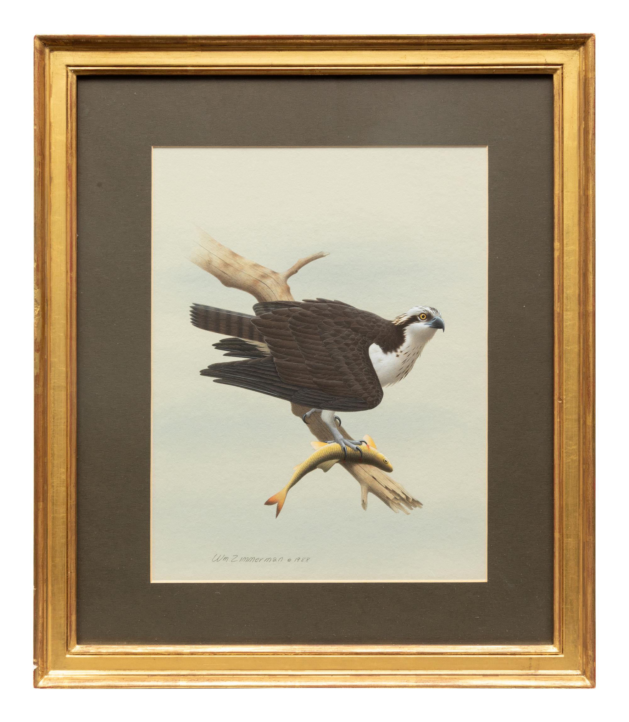 Group of Nine Works, American Bird Series, 1988