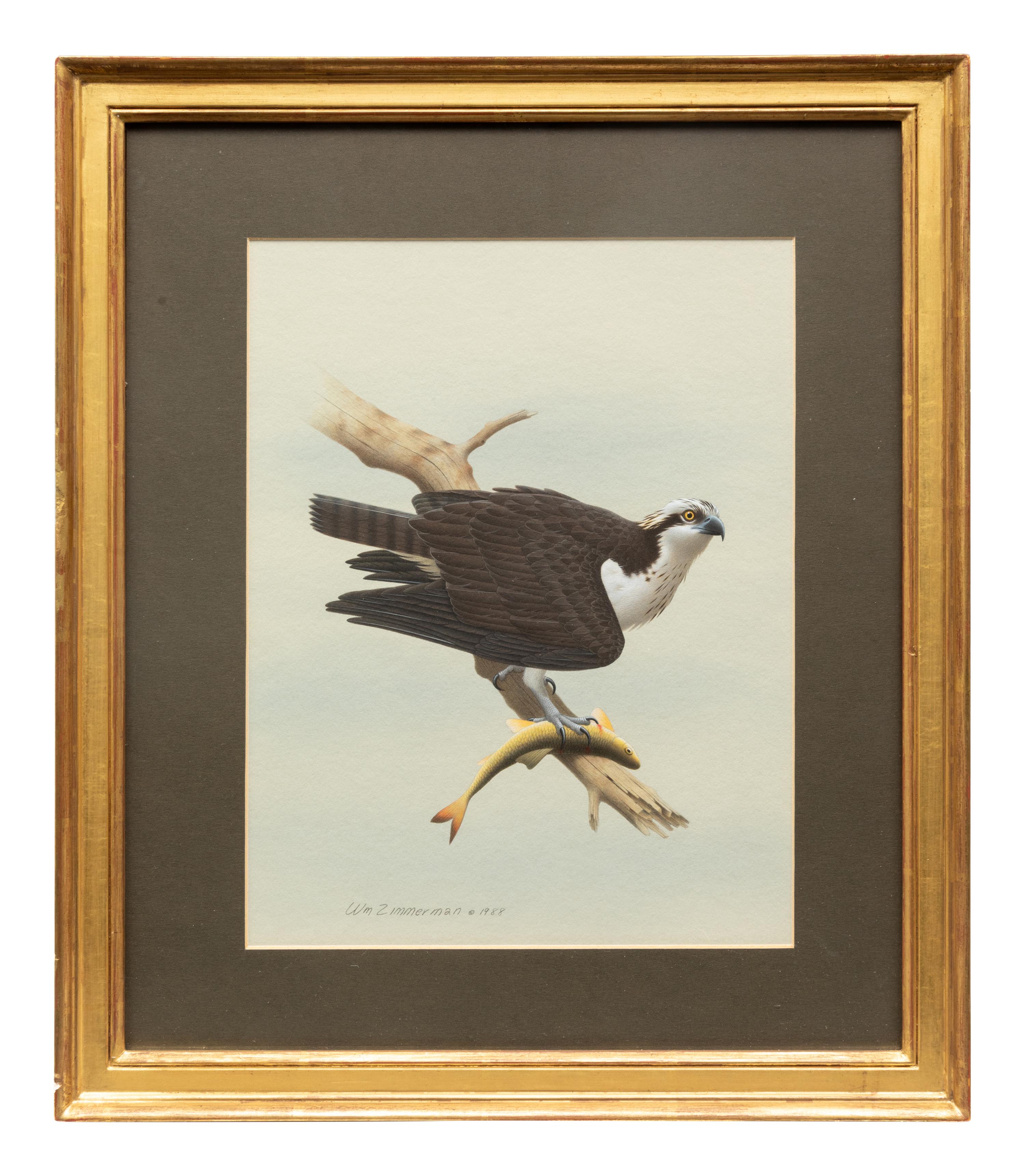 Group of Nine Works, American Bird Series, 1988