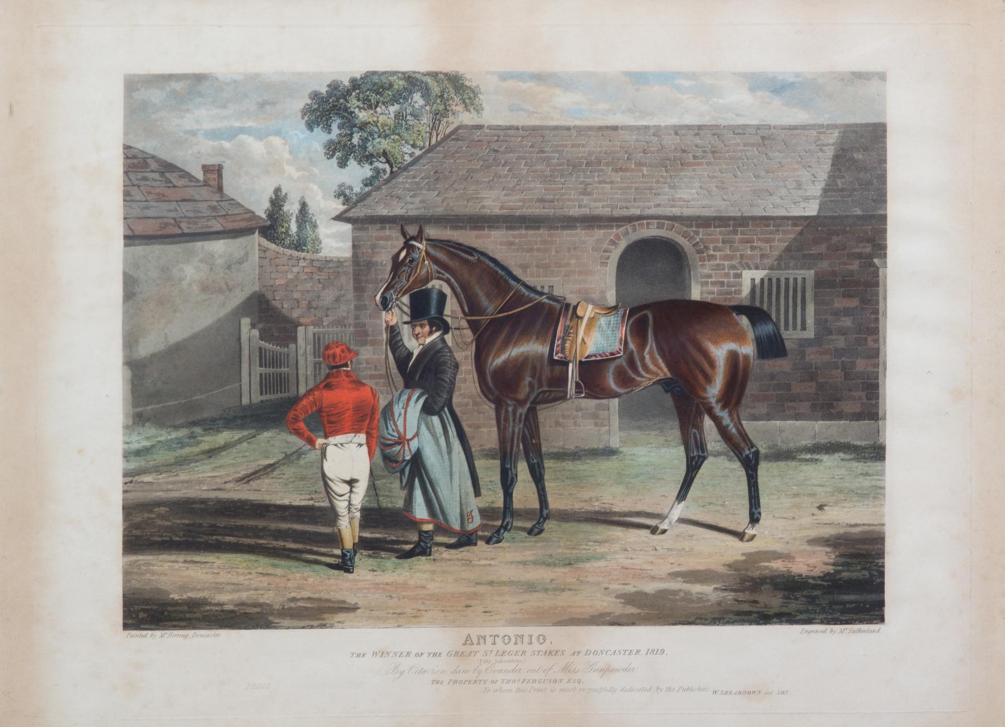 John Frederick HERRING, after - M. SUTHERLAND, engraver Image 12 x 16 3/4 inches. — Antonio, Winner of the Great St. Leger Stakes at Dancaster
