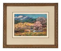 Mountain Village