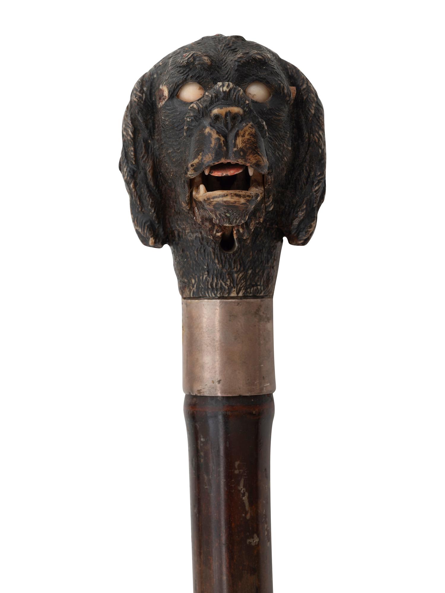 Four Walking Sticks and Umbrellas