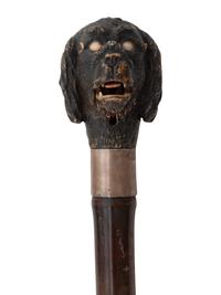 Four Walking Sticks and Umbrellas