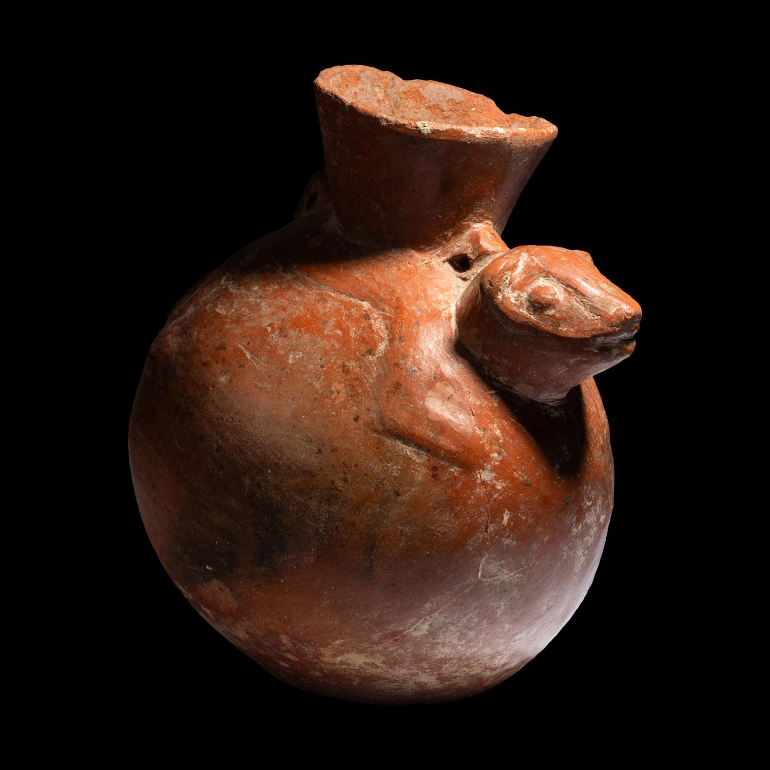 A Chimu Animal Effigy Vessel