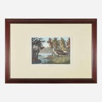 [Prints] Audubon, J(ohn). J(ames). Yellow Shank